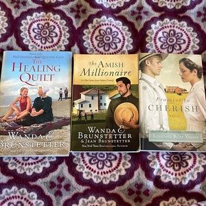 3 Amish Novels by authors Wanda Brunstettler, Elizabeth Byler Younts.